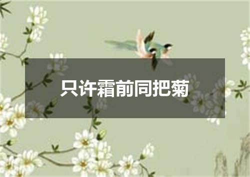 只许霜前同把菊