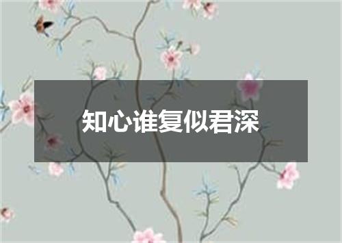 知心谁复似君深