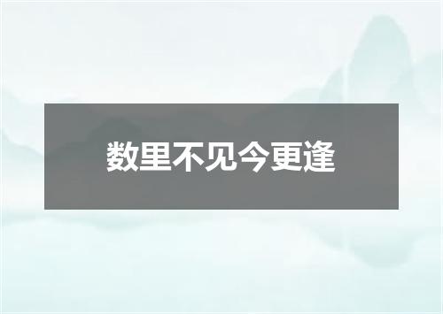 数里不见今更逢