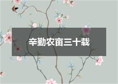 辛勤农亩三十载