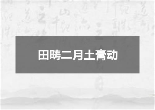 田畴二月土膏动