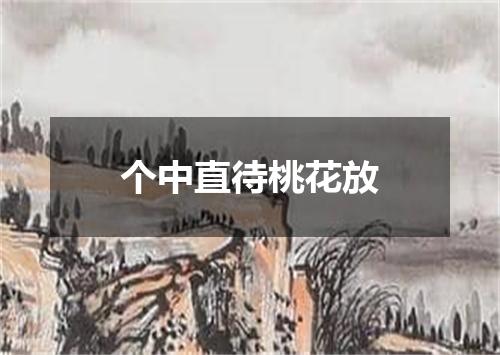 个中直待桃花放