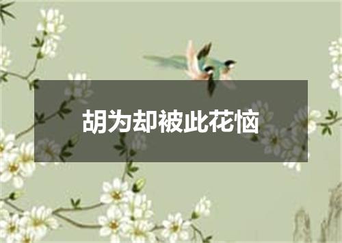 胡为却被此花恼