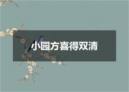 小园方喜得双清