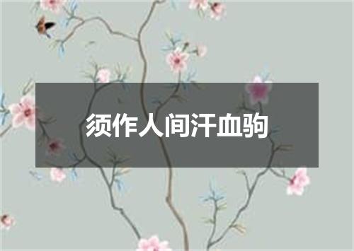 须作人间汗血驹