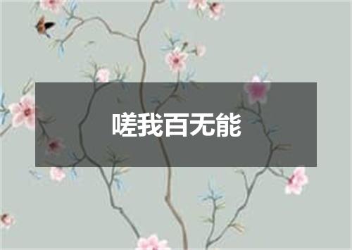 嗟我百无能