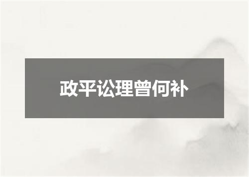 政平讼理曾何补