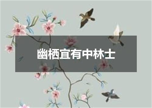 幽栖宜有中林士