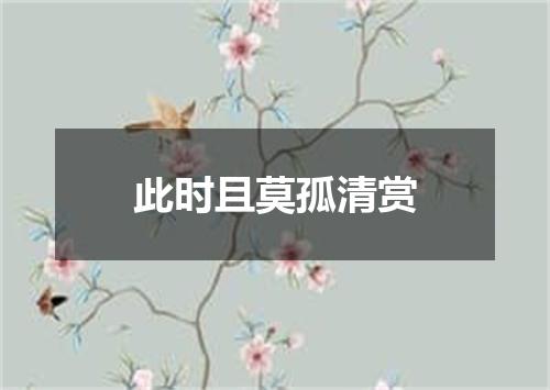 此时且莫孤清赏