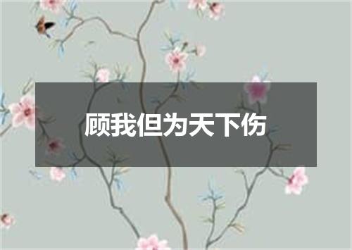 顾我但为天下伤