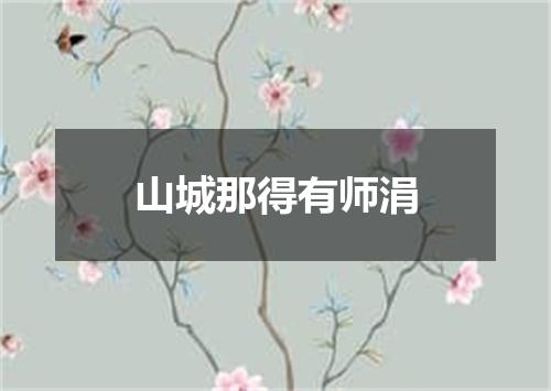 山城那得有师涓