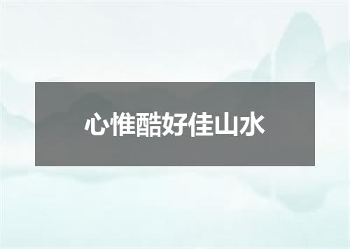 心惟酷好佳山水