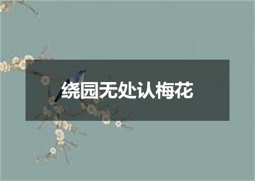 绕园无处认梅花