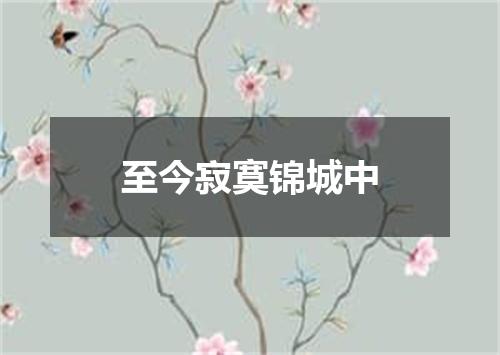 至今寂寞锦城中