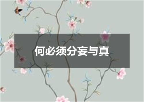 何必须分妄与真