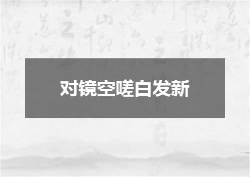 对镜空嗟白发新