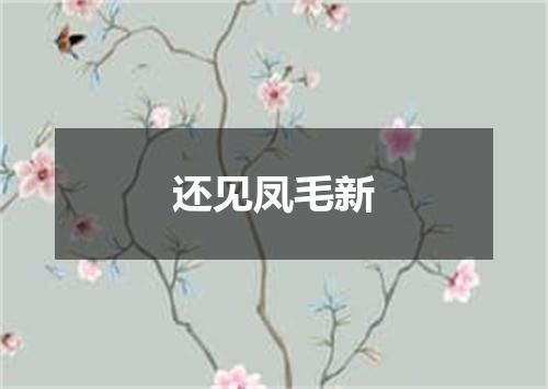 还见凤毛新