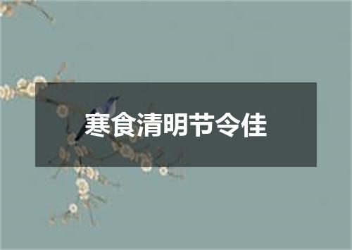 寒食清明节令佳