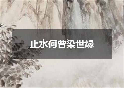 止水何曾染世缘