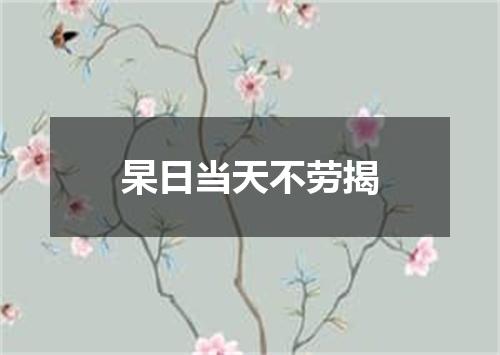 杲日当天不劳揭