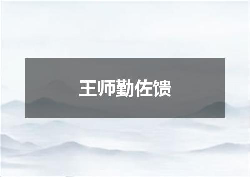 王师勤佐馈