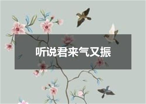 听说君来气又振