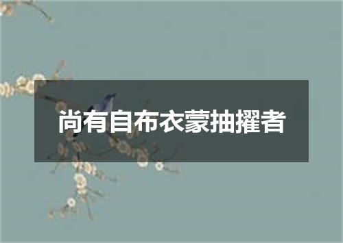 尚有自布衣蒙抽擢者