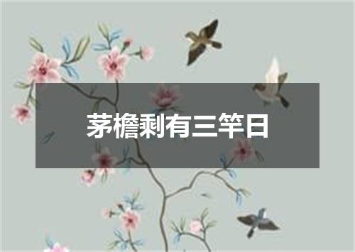 茅檐剩有三竿日