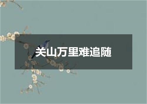 关山万里难追随