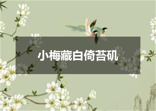 小梅藏白倚苔矶