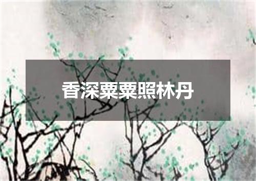 香深粟粟照林丹