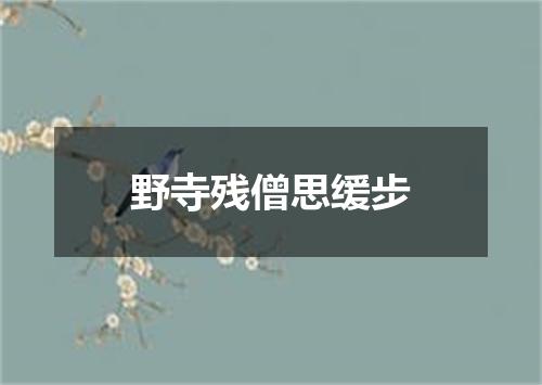 野寺残僧思缓步