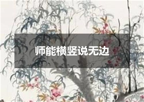 师能横竖说无边