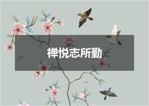 禅悦志所勤