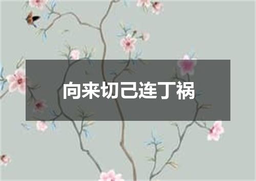 向来切己连丁祸