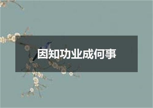 因知功业成何事