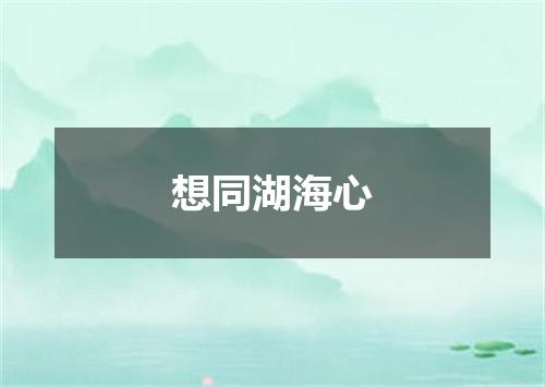 想同湖海心