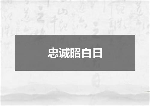 忠诚昭白日