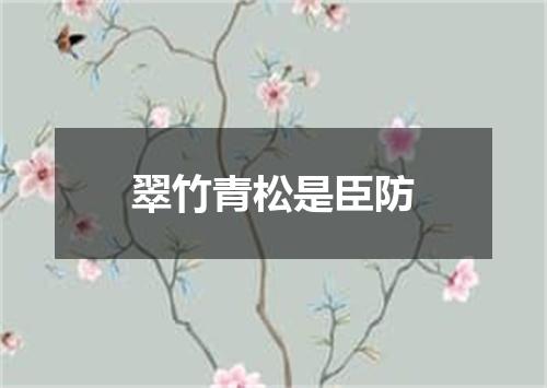 翠竹青松是臣防