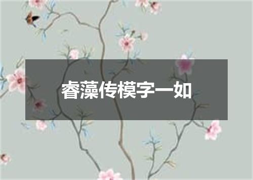 睿藻传模字一如