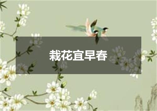 栽花宜早春