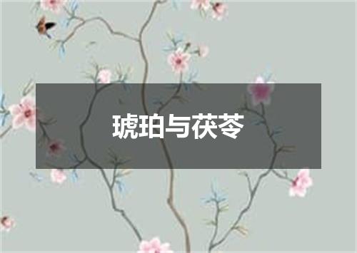 琥珀与茯苓