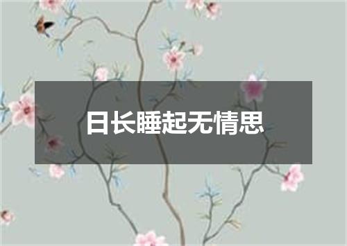 日长睡起无情思