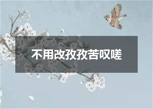 不用改孜孜苦叹嗟