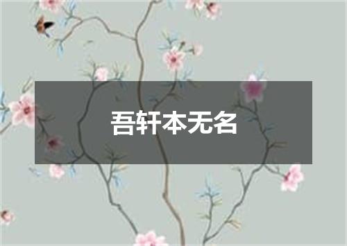 吾轩本无名