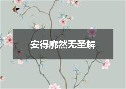 安得廓然无圣解