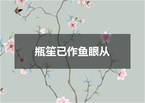 瓶笙已作鱼眼从