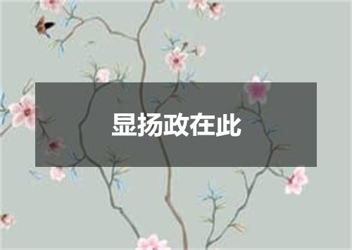 显扬政在此