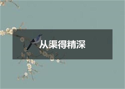 从渠得精深