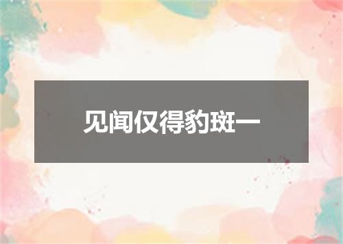 见闻仅得豹斑一